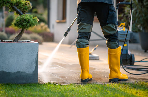 Best Affordable Power Washing  in Loretto, TN